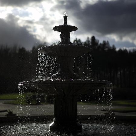 Daresbury Park Hotel & Spa Bagian luar foto